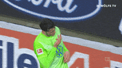 Celebrating Wout Weghorst GIF by VfL Wolfsburg