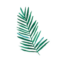 coco bali Sticker by Camille Florès