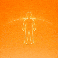 World Limit GIF by WeQuorum