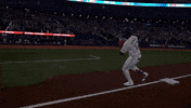 High Five Home Run GIF by Toronto Blue Jays