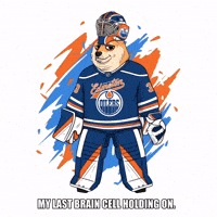 Shiba Inu Hockey GIF by Doge Pound