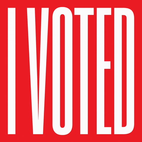 siegelgale giphyupload sticker vote election GIF