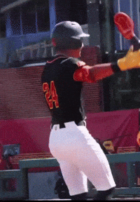 Usc Baseball GIF