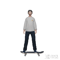 3dskatetricks skate skateboard skateboarding street Sticker