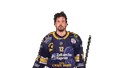 Zellamsee Ekz Sticker by EK Zeller Eisbären