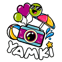 Camara Sticker
