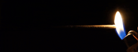 philiphodges giphygifmaker GIF