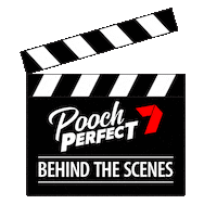 Behind The Scenes Dogs Sticker by Channel 7