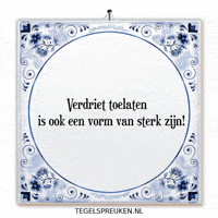 Humor Nl GIF by Tegelspreuken.nl