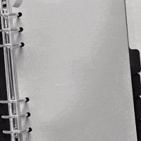 Numberi GIF