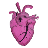 Heart Love Sticker by BellaCosmetics