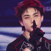 Skz Straykids GIF