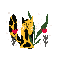 Cats Gatos Sticker