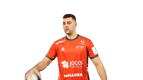 Letsgovamos Sticker by Federação de Andebol de Portugal