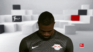 Line Up Hello GIF by Bundesliga