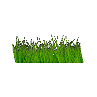 outsidepride nature garden grass gardening Sticker