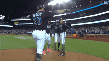 Happy Major League Baseball GIF by New York Mets