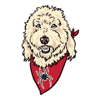 U Of R Spiders Sticker by University of Richmond