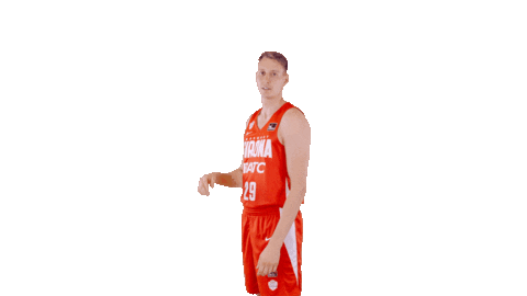 Liga Endesa Basketball Sticker by ACB
