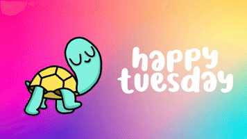 Tuesday Turtle GIF by Digital Pratik