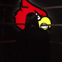 University Of Louisville GIF by Louisville Cardinals