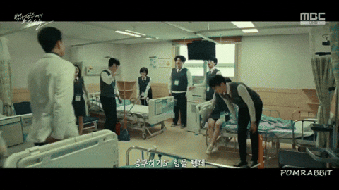pomrabbit giphyアップロードGIF