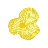 Flower Sticker by CALLA