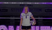 St Thomas Tommies GIF by Tommie Athletics