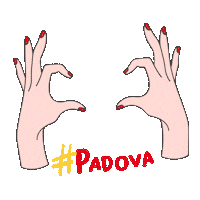 Padovanet Sticker by Comune di Padova