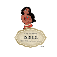 Disney Princess Love Sticker by Secondate