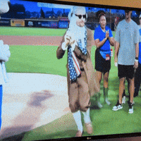 Founding Father Baseball GIF
