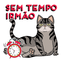 cat Sticker