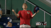 Tazered Yes GIF