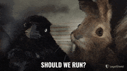 LegalShield run hide caught guilty GIF