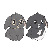 Bunnies Lops Sticker