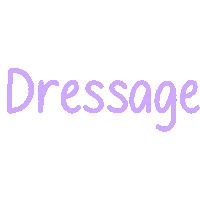 Horse Dressage Sticker