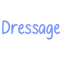 Horse Dressage Sticker