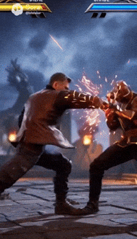 Fight GIF