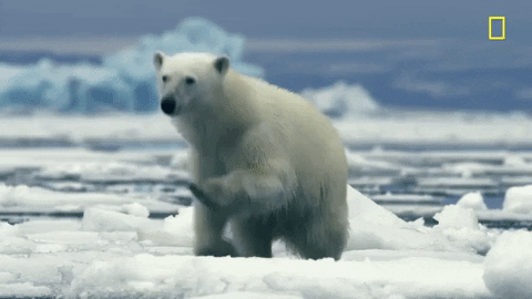 nat geo hostile planet GIF by National Geographic Channel