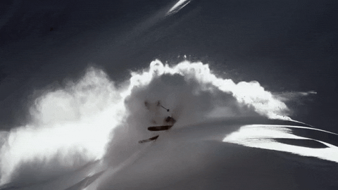 into the mind skiing GIF