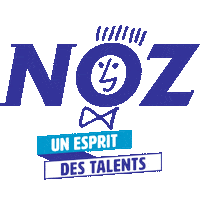 NOZ_officiel job talents recrutement esprit Sticker