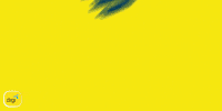Football Czech GIF by Digi