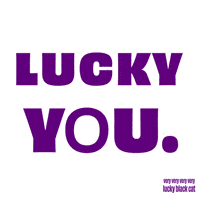 Black Cat GIF by VeeFriends