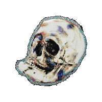 Skull Sticker by The LSD Hotel