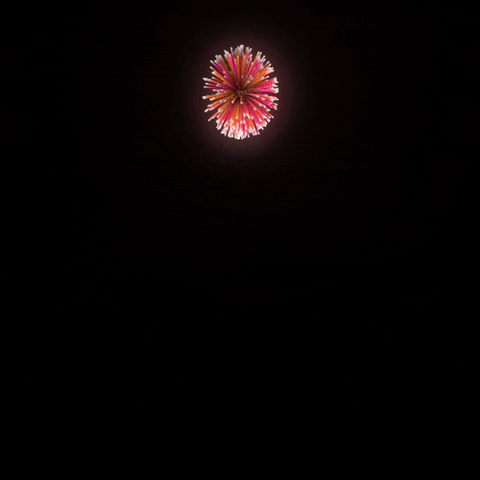 GIF by Shurly