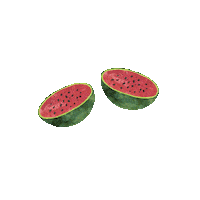 Melons Sticker by Juice Ranch
