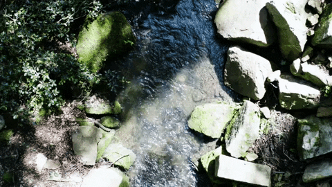 Water Looking Down GIF by DeeJayOne