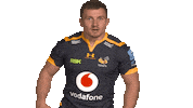 Rugby Sticker by Wasps