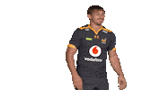 Rugby Sticker by Wasps
