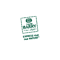 Cacaobarry Sticker by Barry Callebaut Nordic